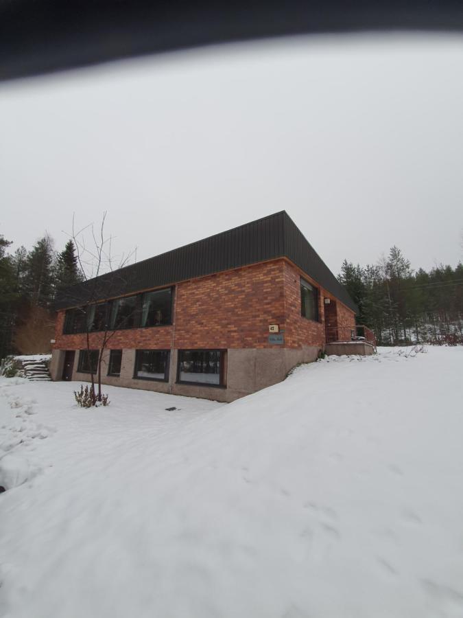 Villa Talo Rovaniemi Buitenkant foto